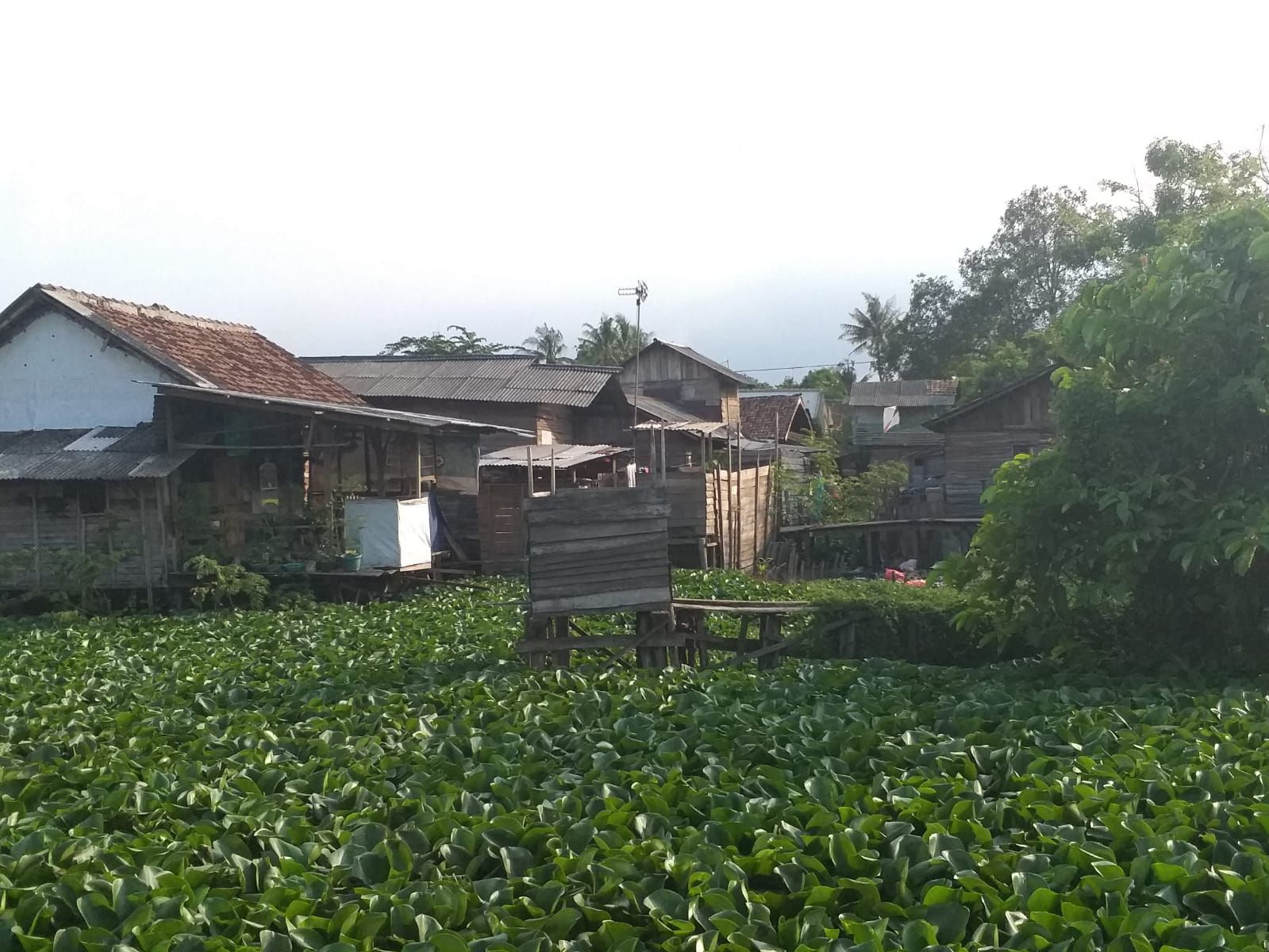 Potret kemiskinan di Ibu Kota Provinsi Banten.