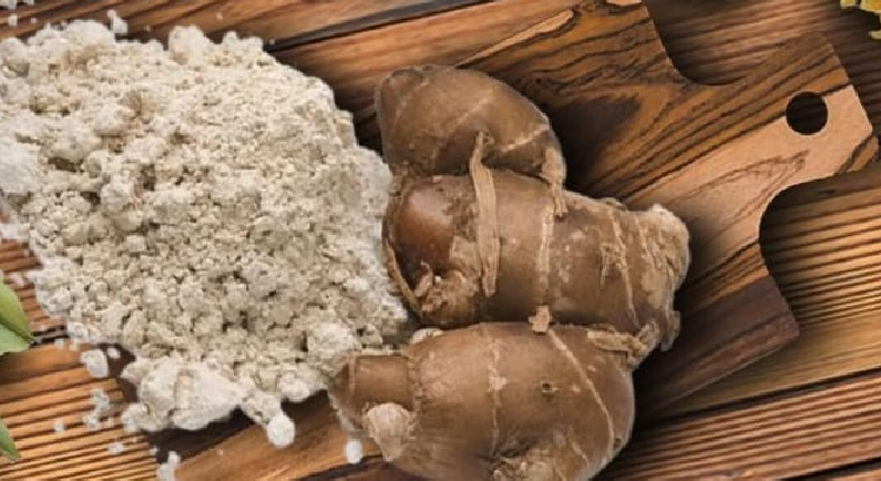 Kencur, tanaman Indonesia buat bumbu dapur dengan khasiat untuk kesehatan
