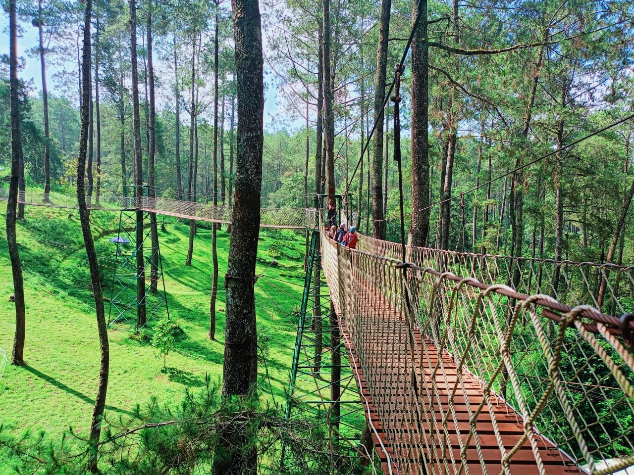Wisata Menantang di Wood Bridge Orchid Forest Bandung, Cek Lokasi, Harga Tiket dan Jam Buka