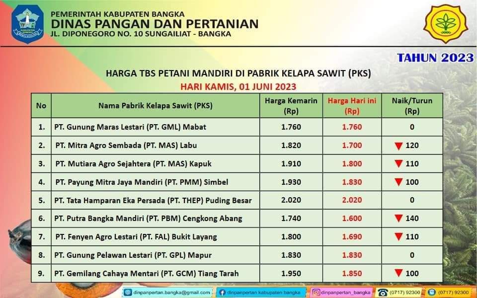 Cek harga TBS kelapa sawit hari ini Kamis, 1 Juni 2023 di Kabupaten Bangka 'Bangka Belitung'.