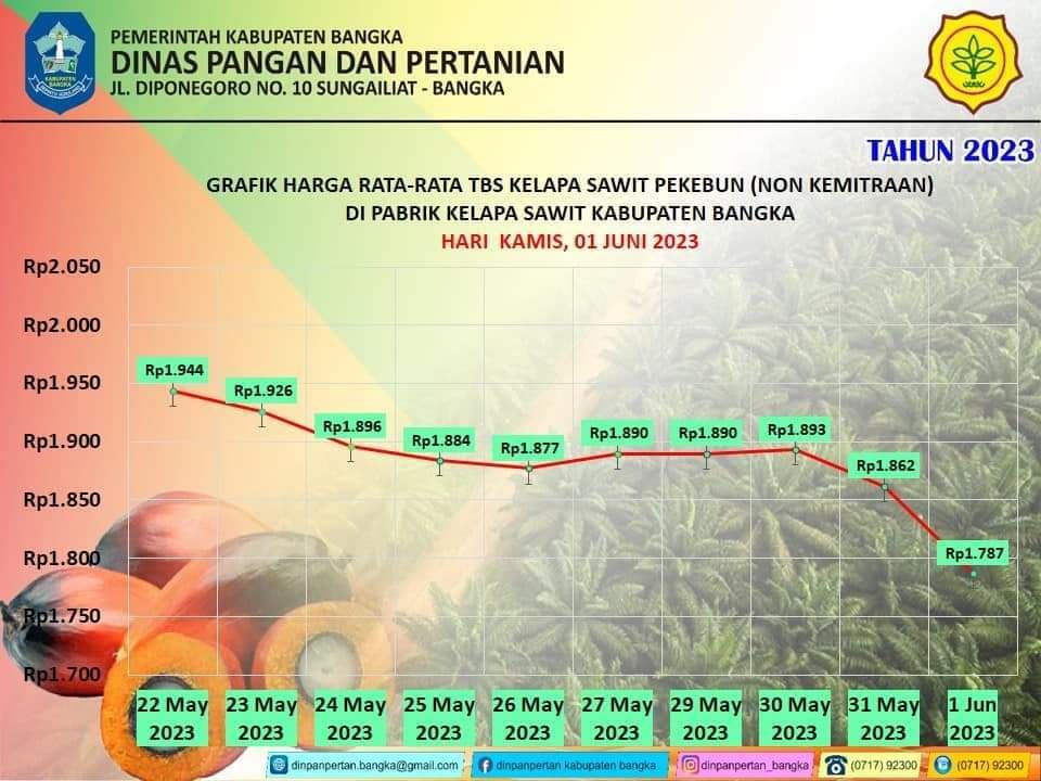 Grafik Harga Rata-rata TBS Kelapa Sawit  Kabupaten Bangka 