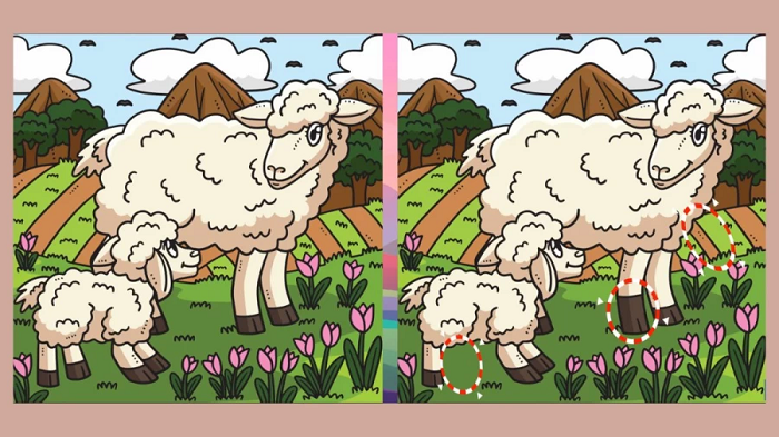 Semua peredaan pada gambar domba dan anaknya.