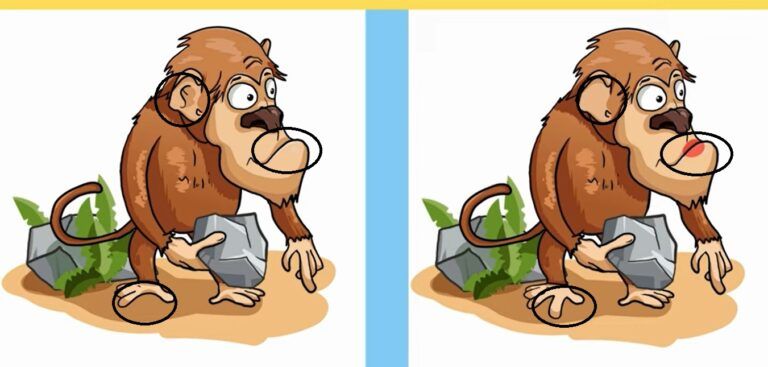 Jawaban tes IQ dalam menemukan perbedaan gambar monyet. 