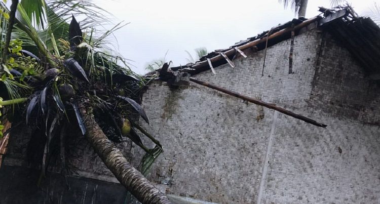 Rumah semipermanen nilik warga di Desa Limusgede Kecamatan Cimerak Kabupaten Pangandaran tertimpa pohon kelapa.*/kabar-priangan.com/Istimewa