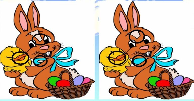 Jawaban tes IQ dalam menemukan perbedaan gambar kelinci. 