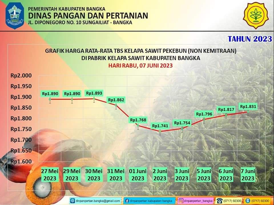Grafik Harga Rata-rata TBS Sawit di Kabupaten Bangka Rabu, 7 Juni 2023
