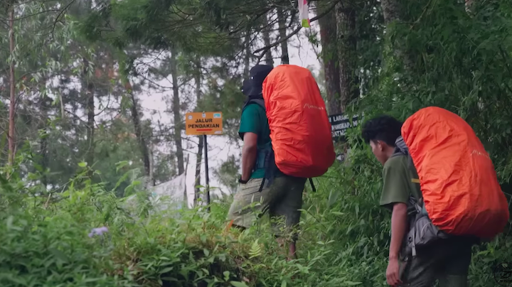 Dzawin Nur mendaki Gunung Lawu memakai baju serba hijau.
