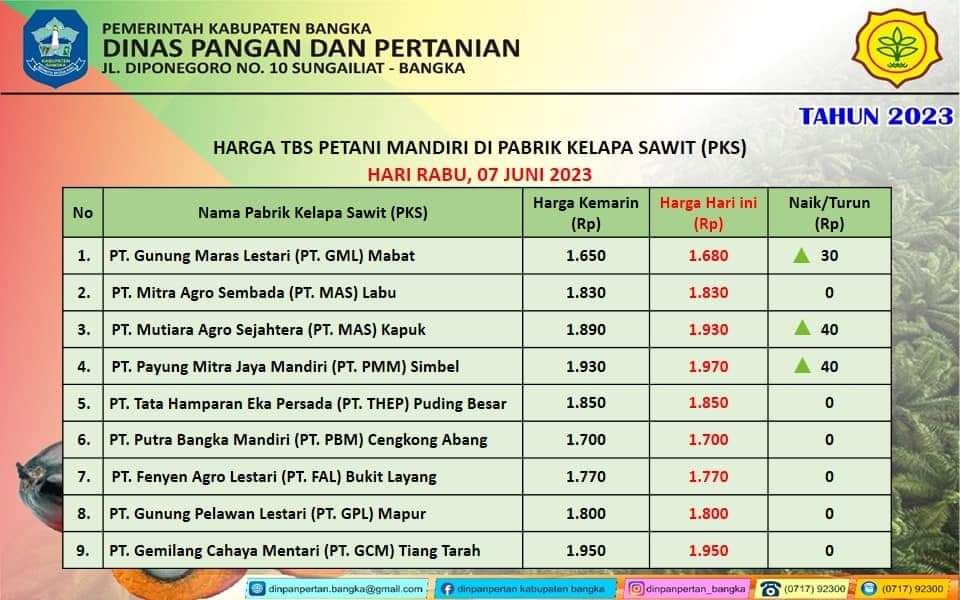 Harga TBS kelapa sawit Kabupaten Bangka hari ini, Rabu, 7 Juni 2023 