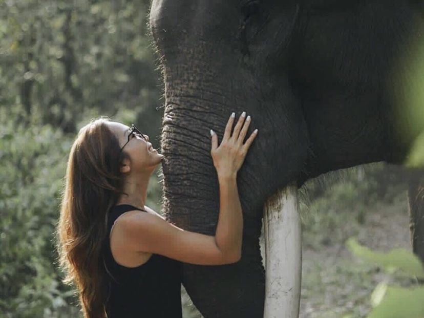 Pusat pelatihan gajah, Taman Nasional Way Kambas/Instagram/@ellchintya/