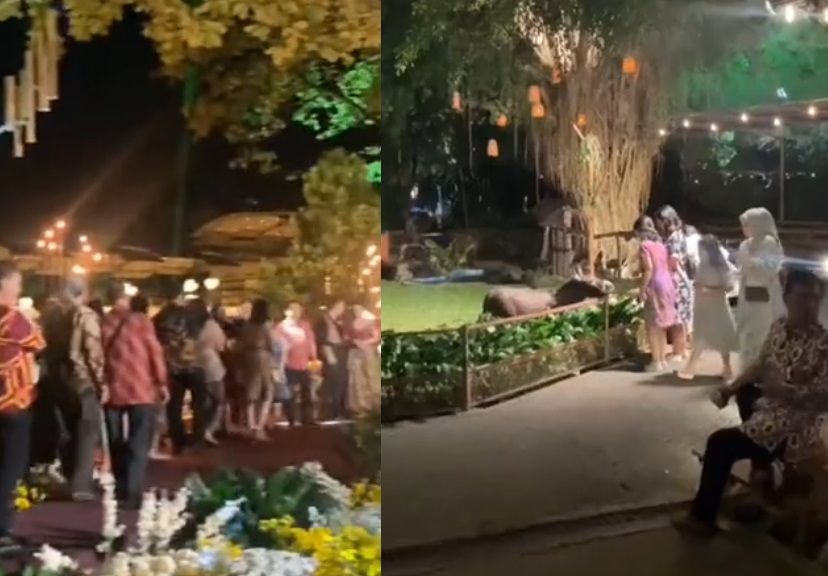 Viral pesta pernikahan digelar di Kebun Binatang Loka, Yogyakarta.