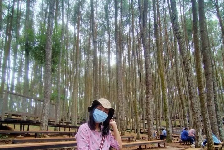 Hutan Pinus Nganjir