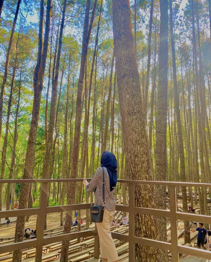 Hutan Pinus Mangunan/IG/@erikaevirahmawati