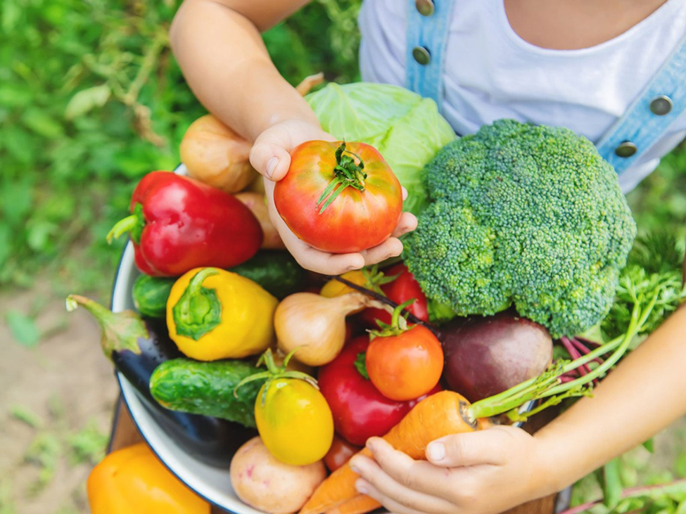 Sayuran Segar untuk Asupan Nutrisi Optimal