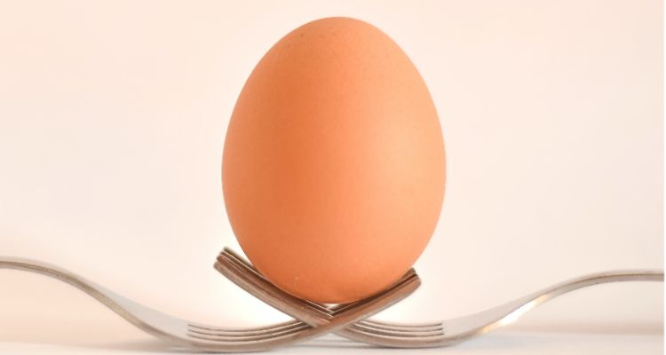 Ilustrasi telur. 