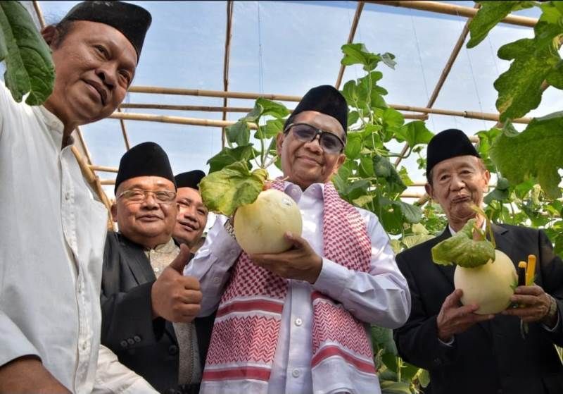 Didampingi pengelola Agro Wisata MAJT Semarang KH Hasan Maulana (kiri), Menko Polhukam Mahfud MD dan Ketua MUI Jateng KH Ahmad Darodji memperlihatkan buah melon hasil panen perdana, Kamis 29 Juni 2023