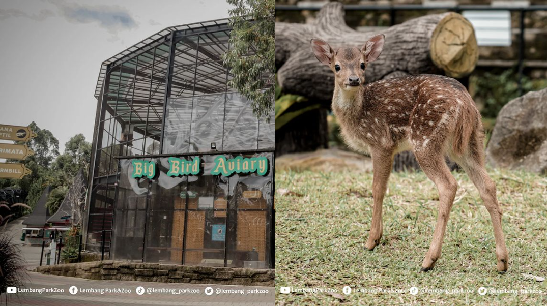 Lembang Park & Zoo 