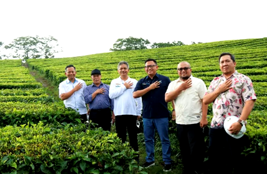 Manajer Kebun Teh PTPN IV, Hwin Dwi Putera (paling kiri) dan Konsultan bisnis teh, Mahyuzar M (kedua dari kiri), serta Direktur Pemasaran Holding Perkebunan Nusantara Dwi Sutoro. 