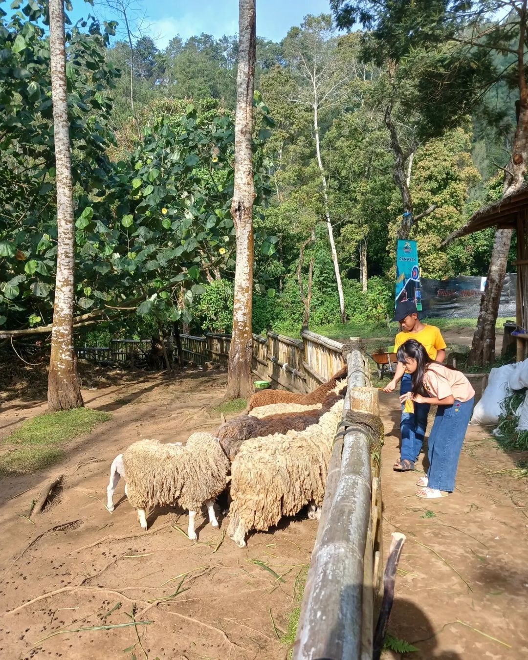 Anak-anak memberi makan hewan di Merbabu Park