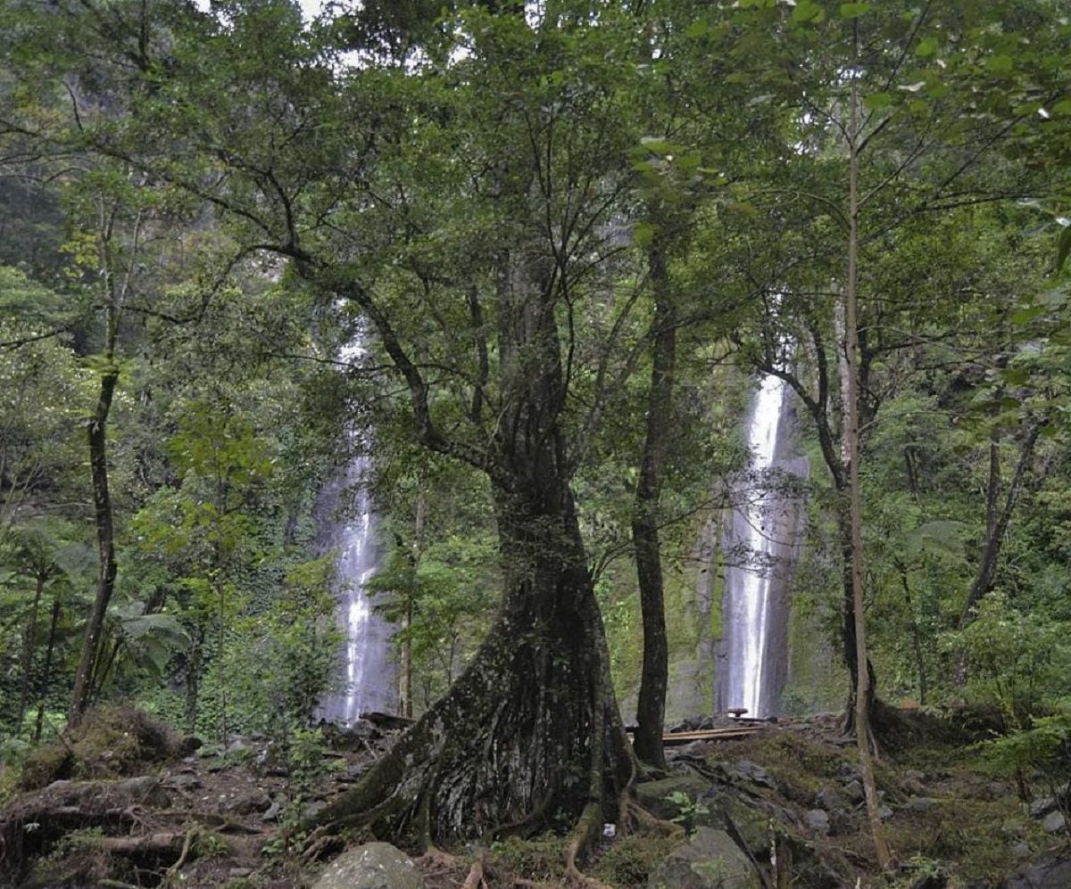 Air Terjun Tancak Kembar, wisata air terjun di Bondowoso.