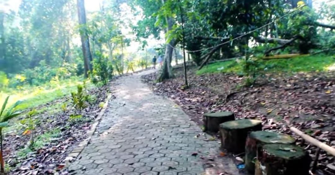 Jalan menuju makam Raden Kuncung Amarullah di Kampung Cokel Pasir Nangka, Curugbitung, Lebak, Banten/tangkapan layar YouTube/channel Niat Kawula