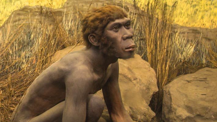 Homo luzonensis adalah spesies hominin yang hidup di Filipina.