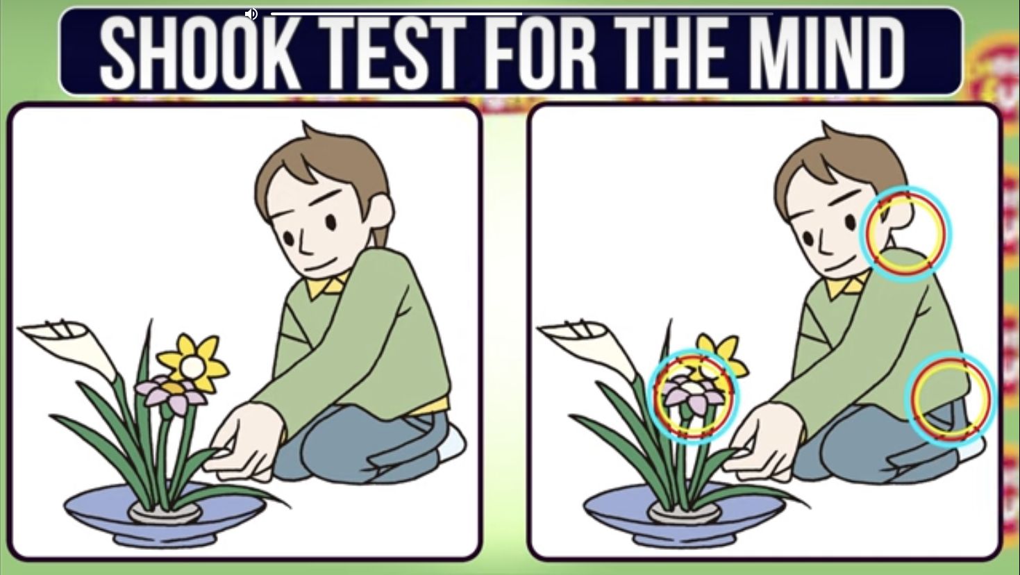 Jawaban tes IQ dalam menemukan perbedaan gambar pria pecinta tanaman. 