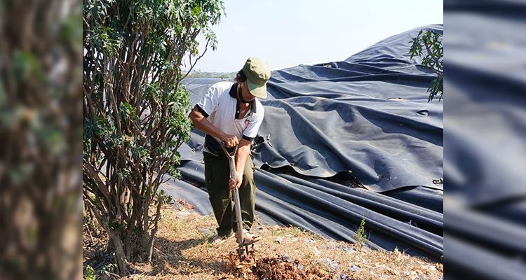 Penanaman pohon dan penghijauan kawasan TPST Bantargebang