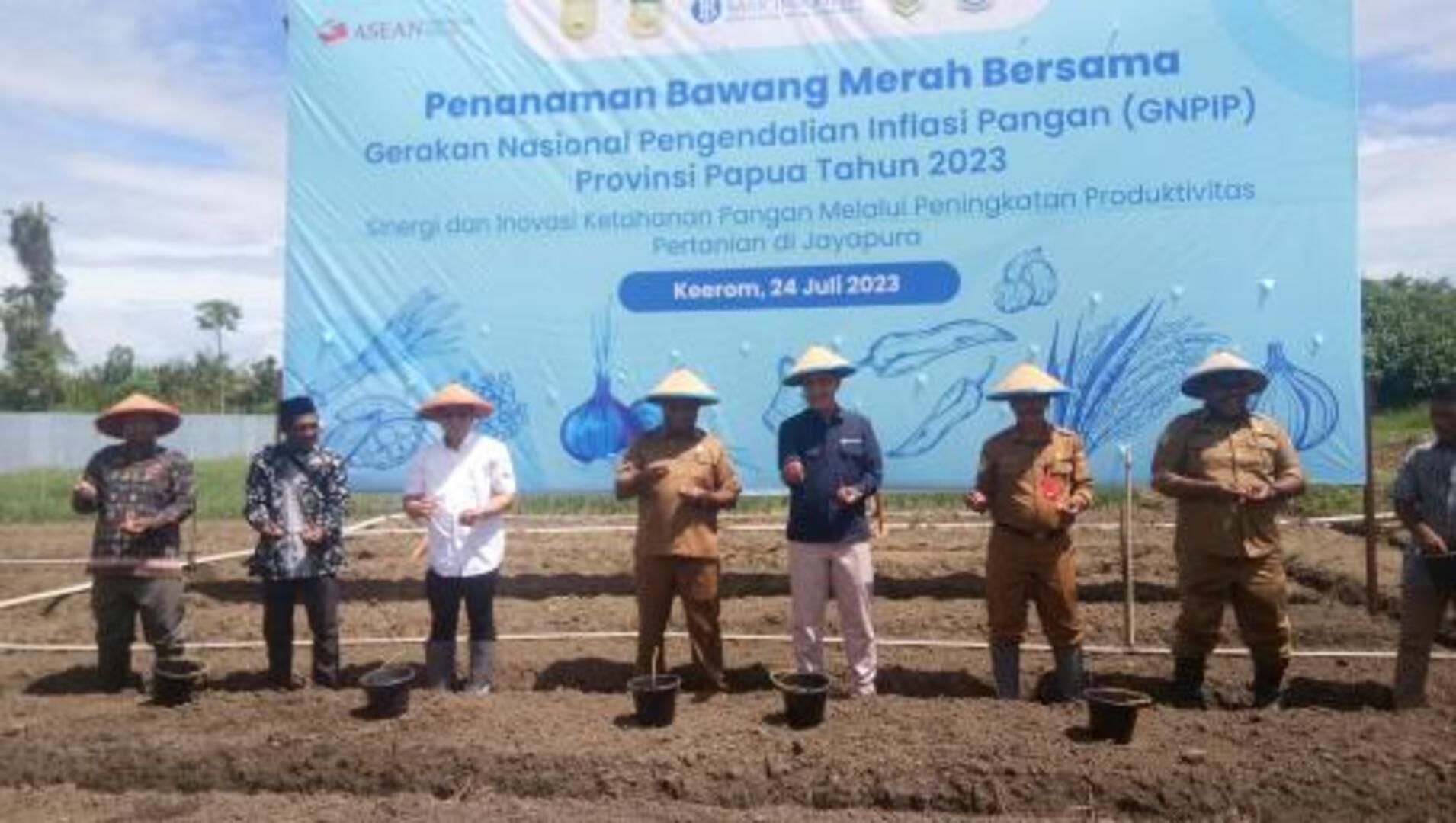 Prosesi penanaman bawang merah di Arso 4 Kabupaten Keerom, Papua pada 24 Juli 2023