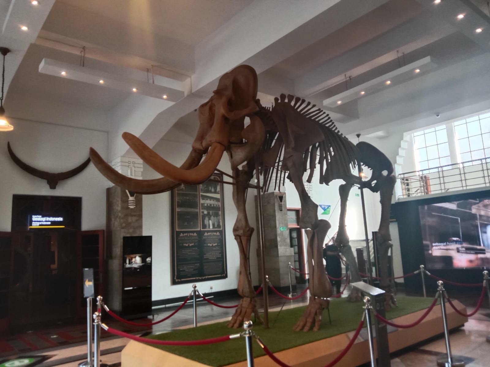 Kerangka dinosaurus di Museum Geologi Bandung.
