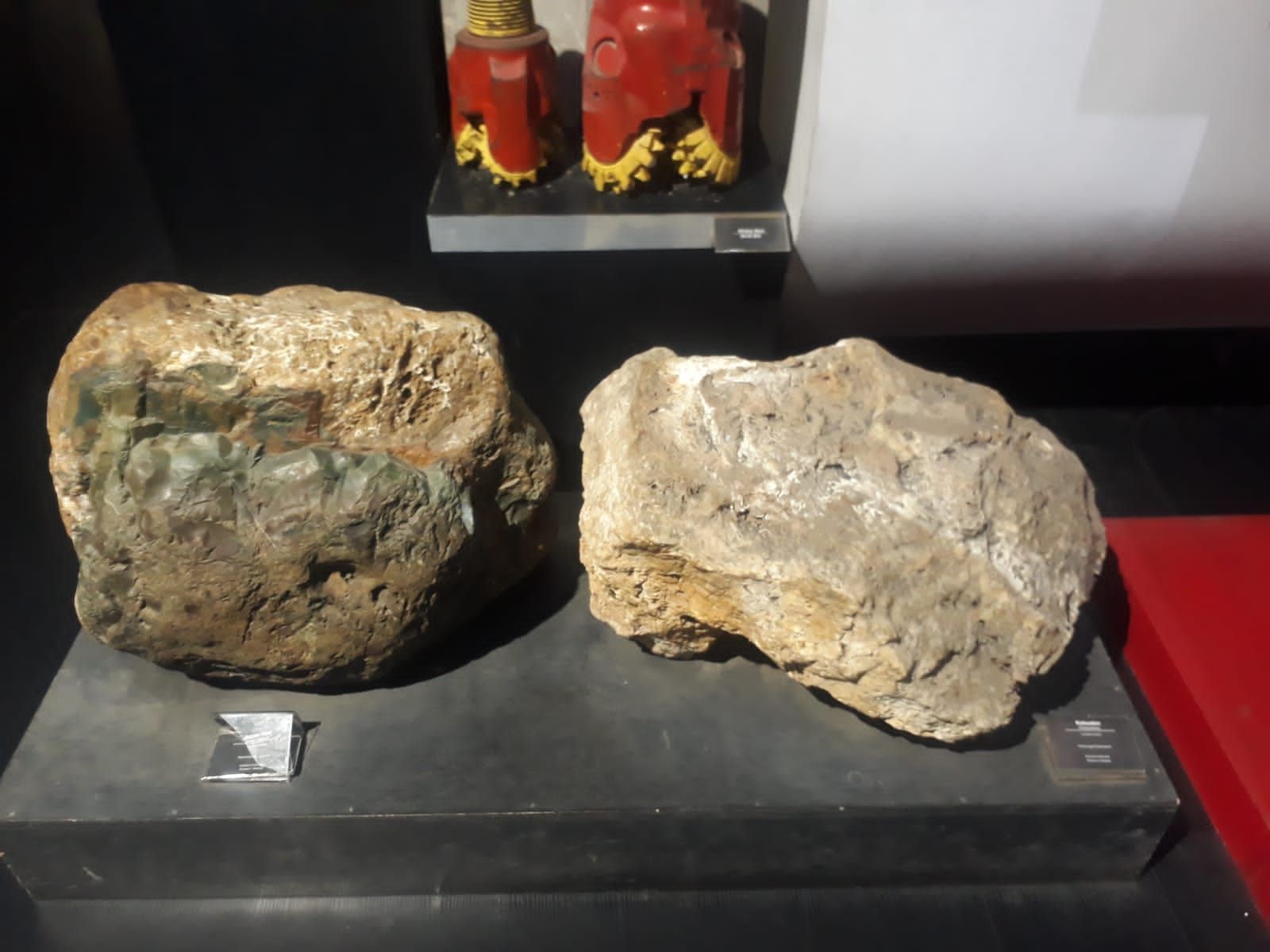 Koleksi batuan di Museum Geologi Bandung.