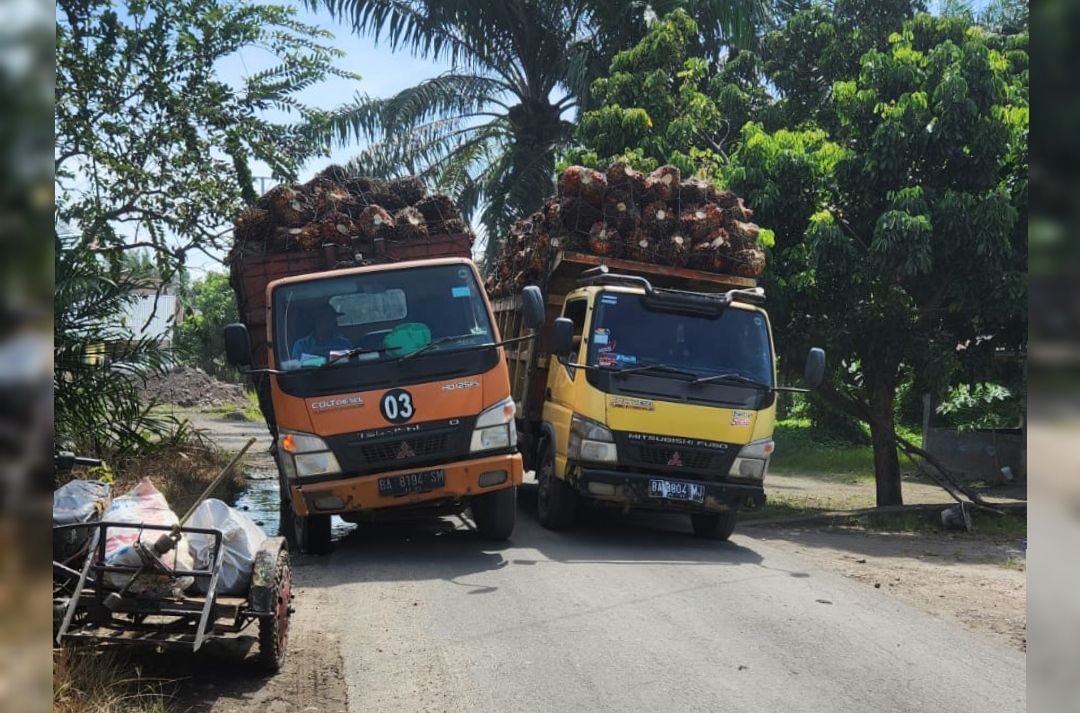 Ilustrasi mobil angkutan sawit di Pasaman Barat
