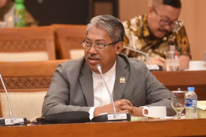 Anggota Komisi VII DPR RI Mulyanto