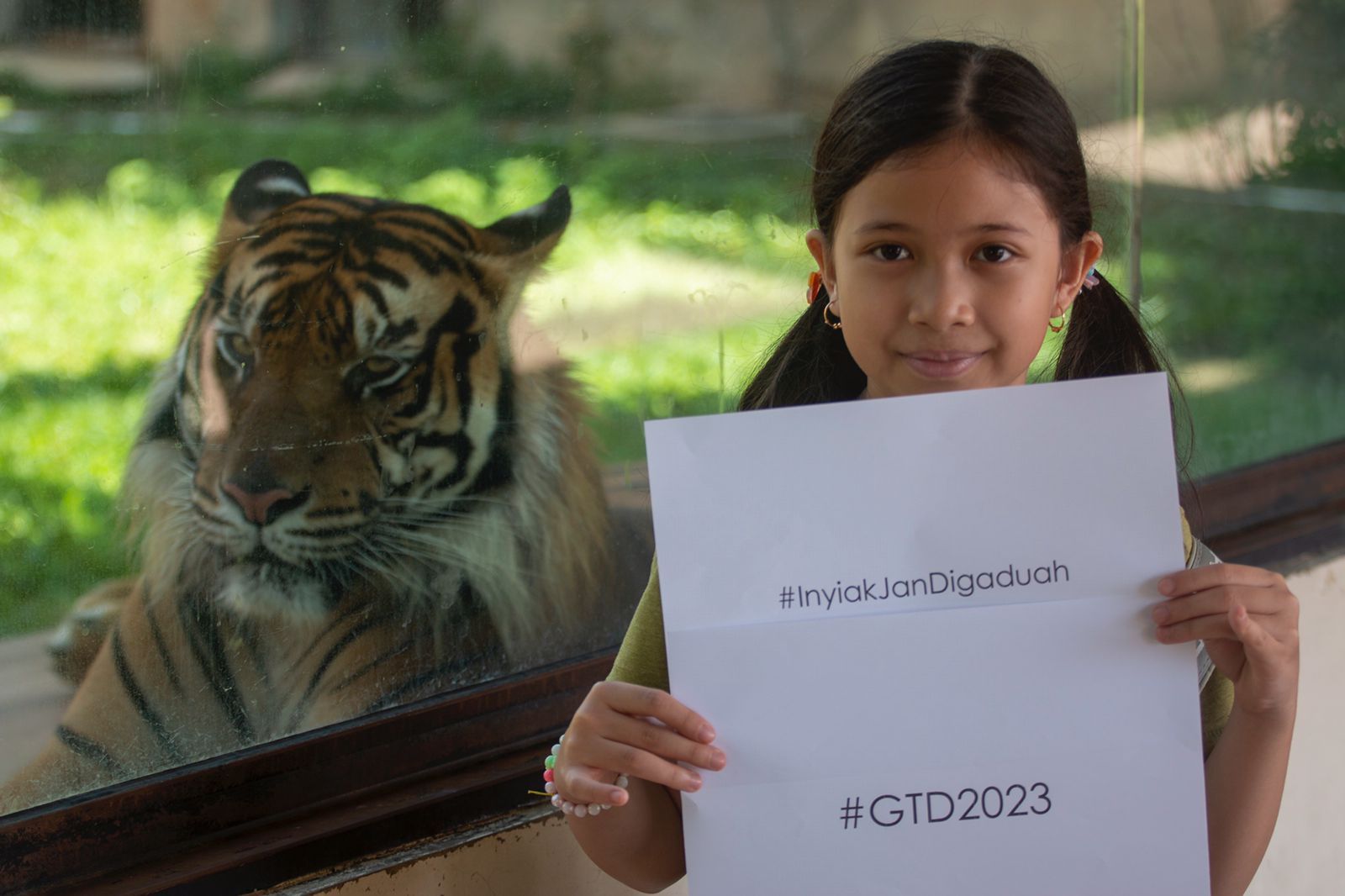 Salah seorang anak pengunjung Taman Margasatwa dan Budaya Kinantan (TMSBK) Kota Bukittinggi, Sumatera Barat, turut mengkampanyekan pelestarian Harimau Sumatera, pada peringatan Hari Harimau Sedunia yang jatuh pada Kamis 29 Juli 2023