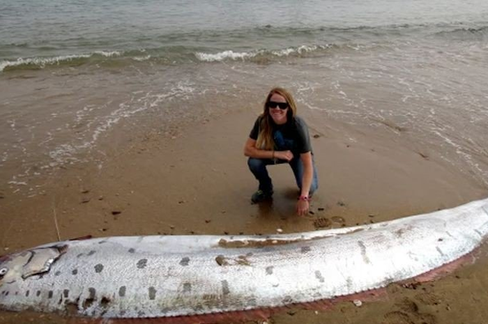 Kemunculan Ikan Oarfish di Laut Taiwan beberapa waktu lalu dikaitkan dengan tanda-tanda bencana alam termasuk sebagai mitos tanda kiamat.