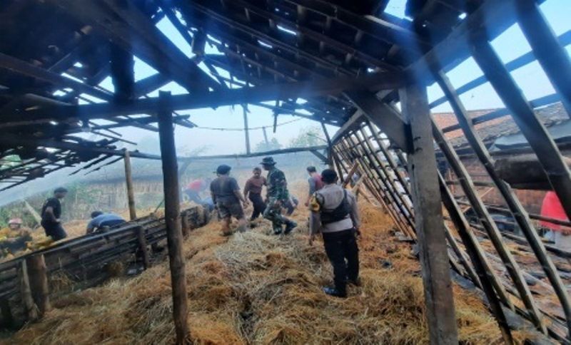 Kandang ternak di Kecamatan Toroh terbakar akibat api bediang.