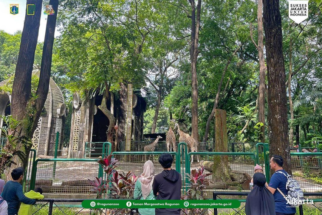 Taman Margasatwa Ragunan 