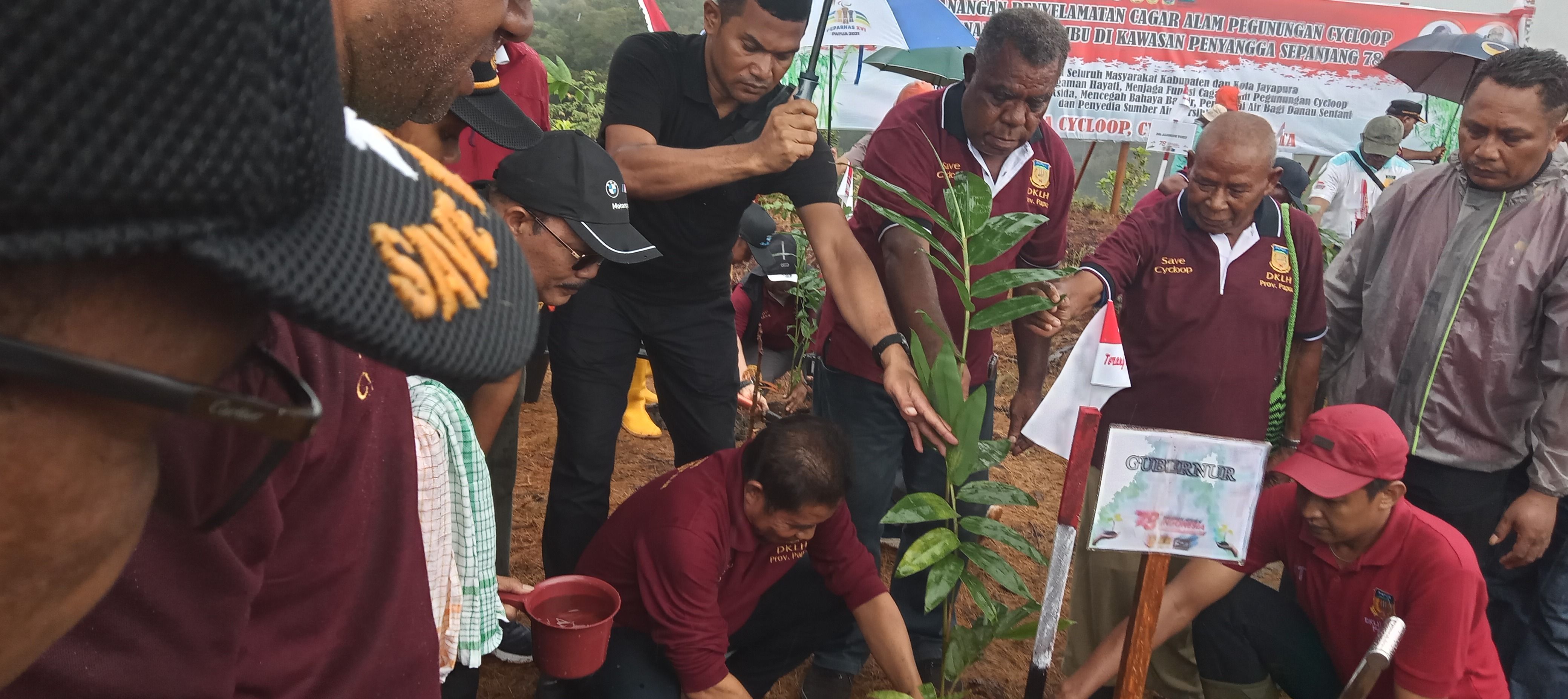 Penanaman pohon Bambu secara simbolis oleh Plh Gubernur Papua DR.M. Ridwan Rumasukun, SE., MM