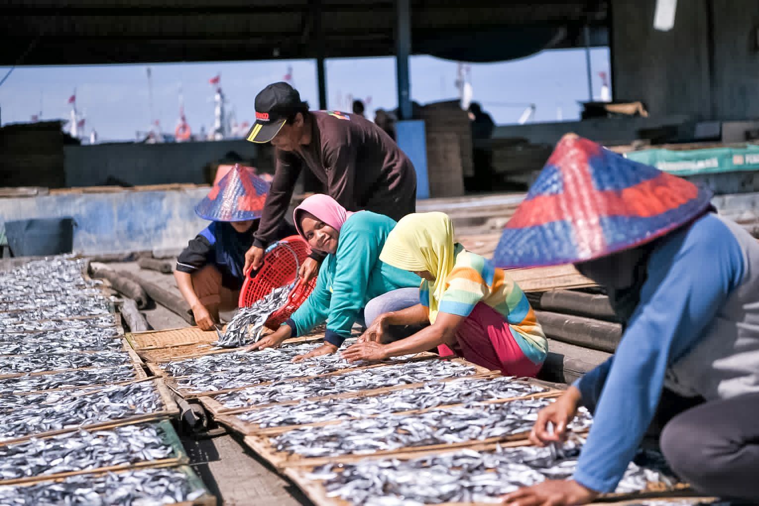 Para Nelayang di Banyuwangi tengah menjemur ikan hasil tangkapannya.