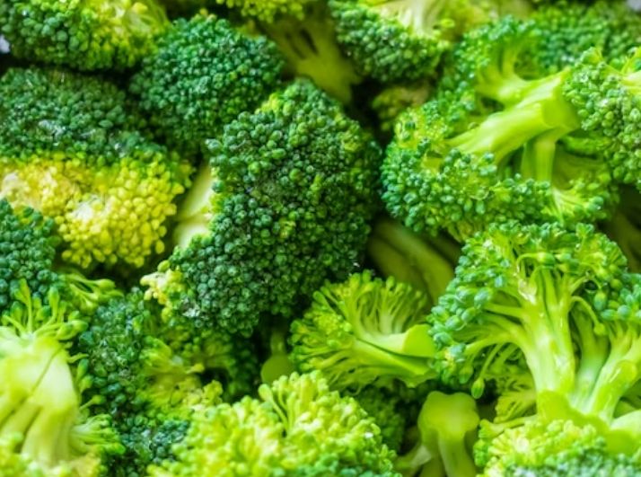 Ilustrasi gambar brokoli