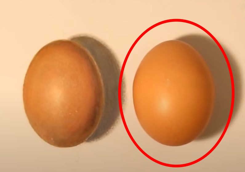 Ini jawaban telur yang asli dalam gambar tes IQ. 