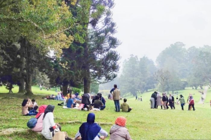 Suasana Kebun Raya Cibodas (KRC), Kabupaten Cianjur, Jawa Barat menjadi tempat wisata yang banyak dikunjungi wisatawan asal Jabodetabek terutama saat akhir pekan