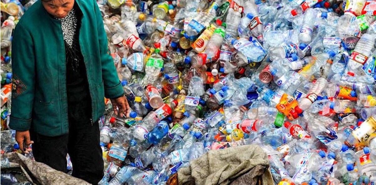 Sampah plastik telah mencemari lingkungan laut.
