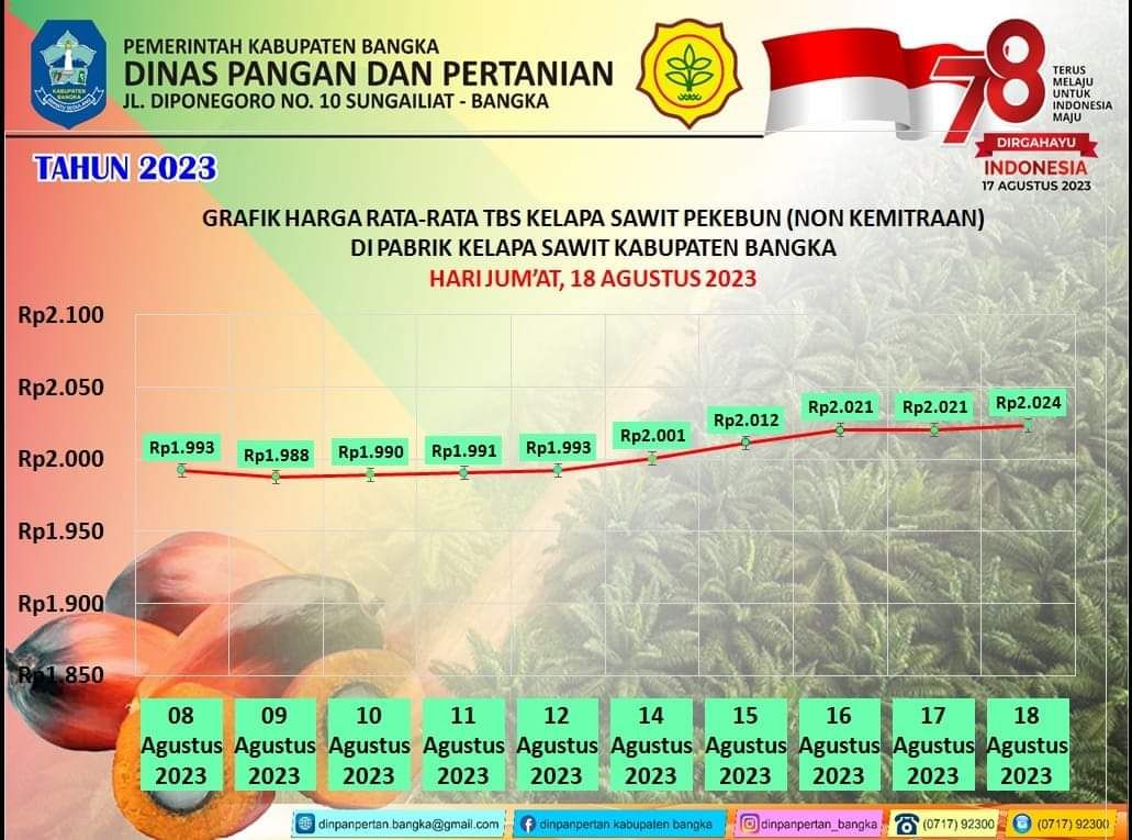 Grafik TBS Kelapa Sawit Kabupaten Bangka 8 -18 Agustus 2023 