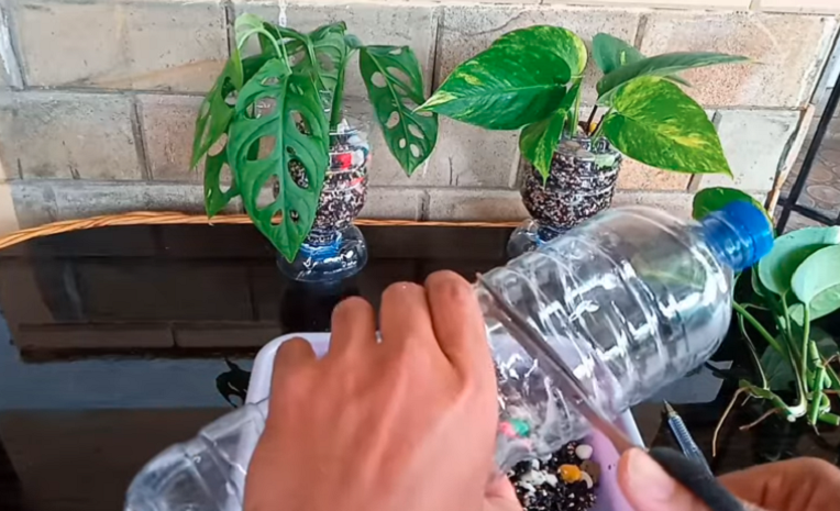 membuat pot bunga dari botol aqua bekas