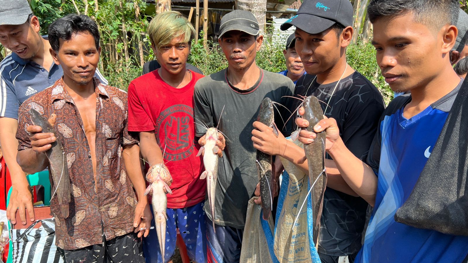 Gupak! Ratusan Warga Desa Sirkandi Banjarnegara Ikuti Parak Iwak, 2 Kuintal Ikan Lele Diperebutkan