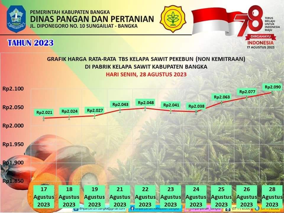 Grafik harga rata-rata TBS kelapa sawit Kabupaten Bangka 17-28 Agustus 2023