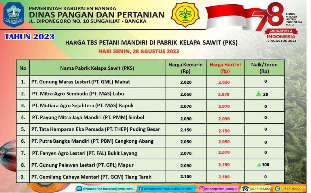 Naik Lagi, Ini Harga TBS Kelapa Sawit Kabupaten Bangka Terbaru Senin ...