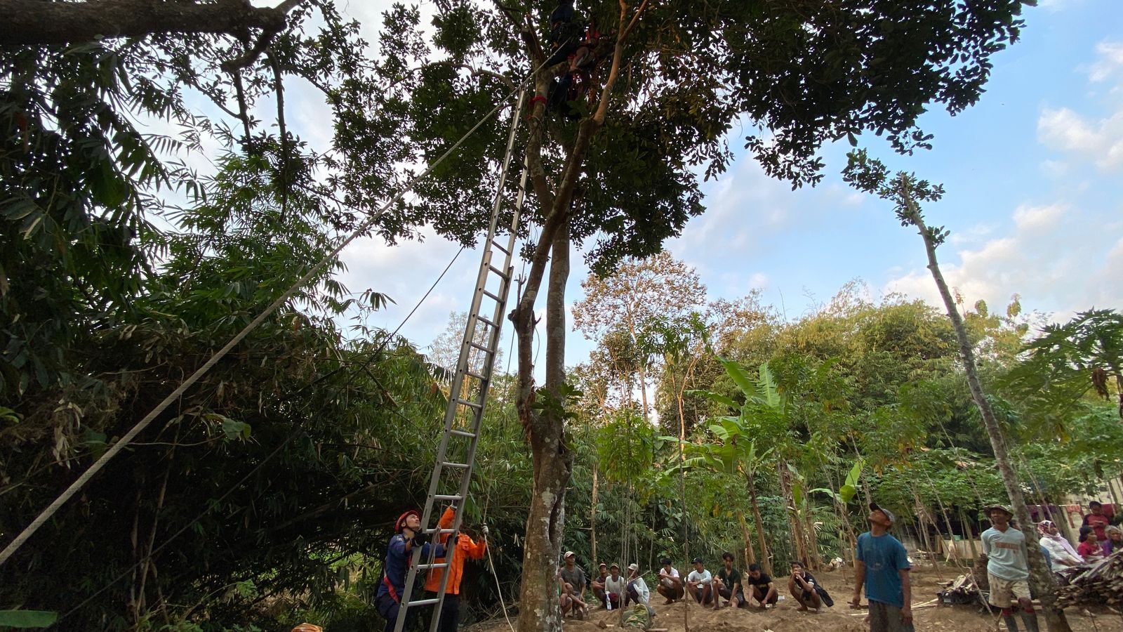 Proses evakuasi menggunakan tangga yang ditambatkan dengan tali di dekat pohon tempat Kakek Sarwan pingsan.