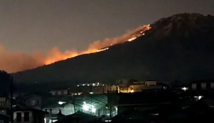 Kebakaran di punggung Gunung Sumbing Jawa Tengah