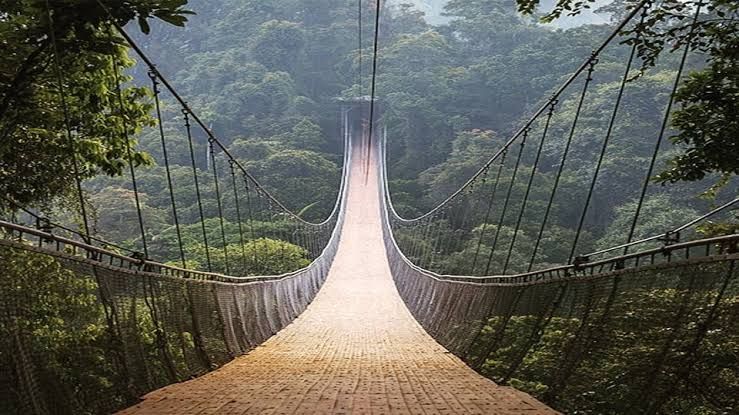 Jembatan Gantung Situ Gunung Sukabumi Terpanjang di Asia Berikut 5 Fakta Menariknya 